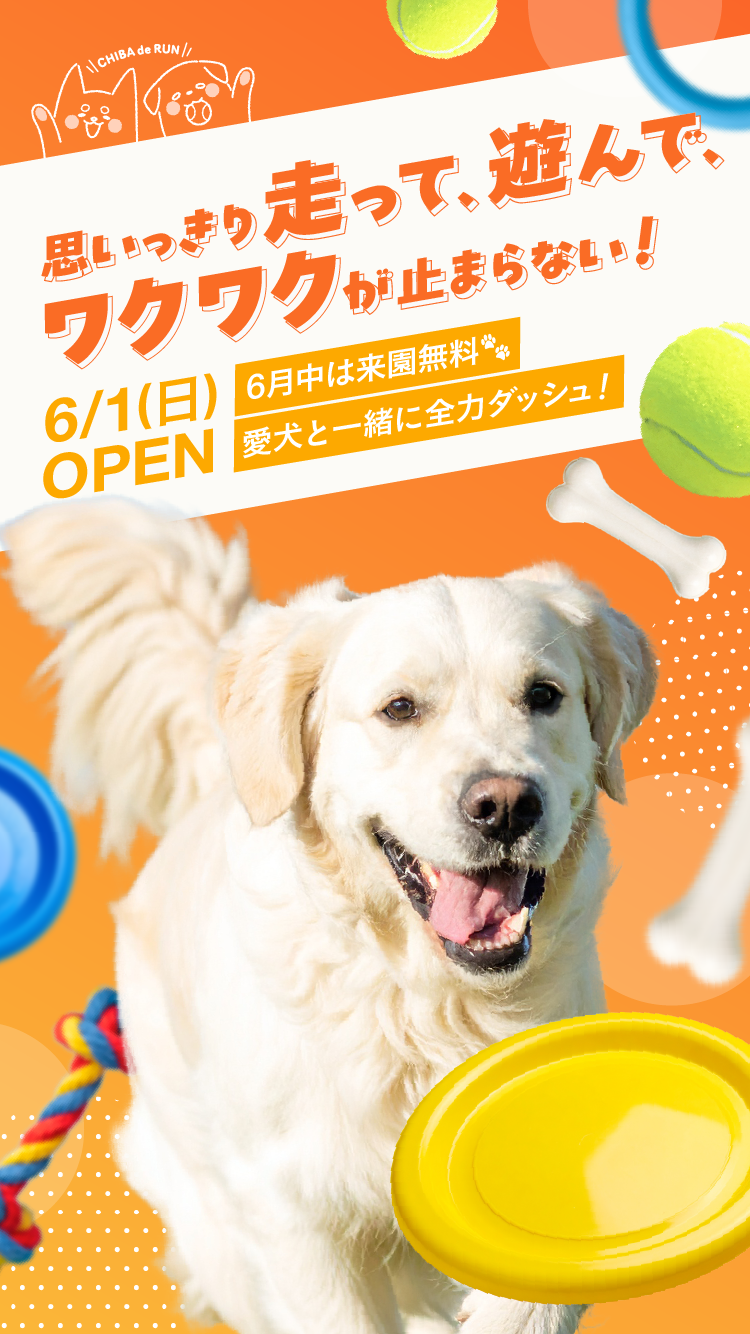 SP版 LPサイトファーストビュー